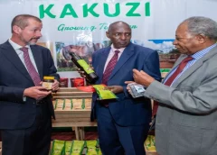 Thumbnail for Kakuzi Plc to unveil macadama cooking oil products as part of new corporate identity