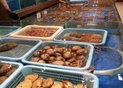 Thumbnail for China’s seafood ban sparks plant-based opportunities amidst environmental concerns