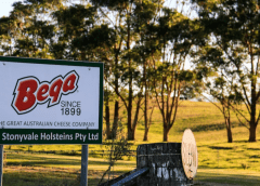 Thumbnail for Bega to acquire Betta Milk, Meander Valley dairy brands