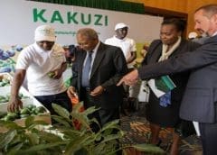 Thumbnail for Kakuzi PLC posts USD 3.93M half-year pretax profit
