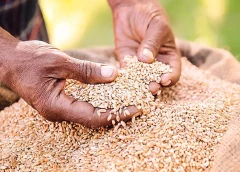 Thumbnail for Soufflet embarks on journey to make Ethiopia a malt production powerhouse