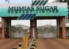 Thumbnail for Kenya writes off US$810M debt owed by five state-owned sugar millers