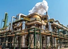 Thumbnail for Biocom embarks on plan to cover 60% of Angola’s sugar market by 2026