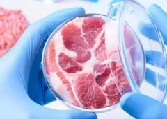 Thumbnail for Steakholder Foods files patent for “Immortal Bovine Cell Line” technology to revolutionize cultivated meat industry