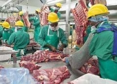 Thumbnail for Meatco assumes management of Rundu Abattoir, boosting livestock market in Northern Namibia