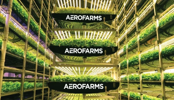 Thumbnail for AeroFarms revamps operations to drive post-bankruptcy profitability
