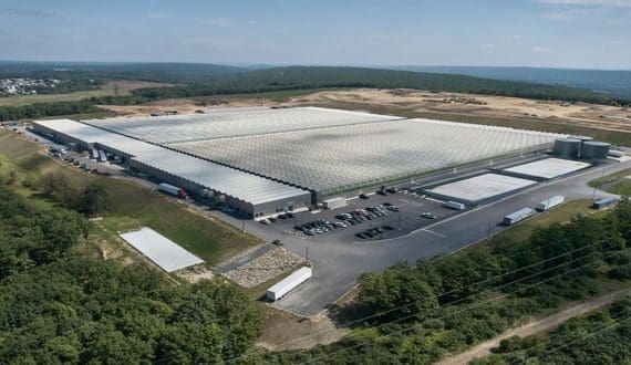 Thumbnail for Little Leaf Farms tops sales charts in New England shattering indoor farming stereotypes