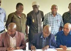 Thumbnail for Tea factories kickstart process to wean themselves off costly electricty from Kenya Power