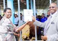 Thumbnail for NAGRC&DB announces new board, commissions 100 dairy bulls for farmers