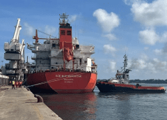 Thumbnail for First batch of fertilizers for tea farmers arrives at Kenya’s port of Mombasa