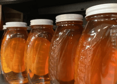 Thumbnail for Scientists develop low-cost sensor for detecting honey adulteration