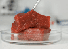Thumbnail for Italy set to become first country to ban synthetic food products