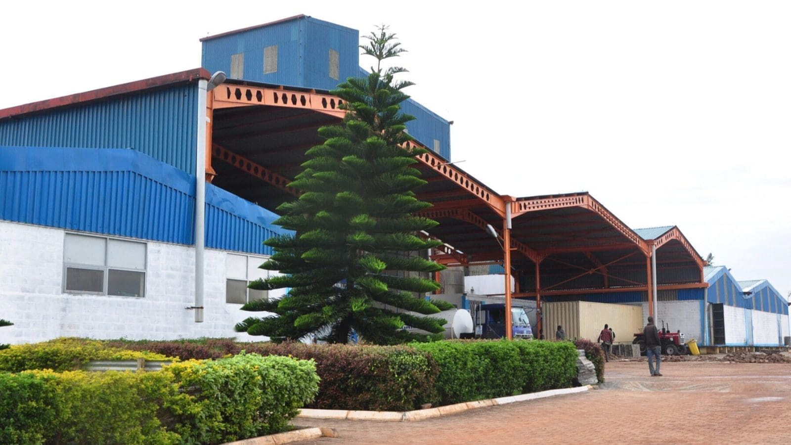 Thumbnail for EXEO Capital invests US$10M in Ugandan dairy processor Amos Dairies