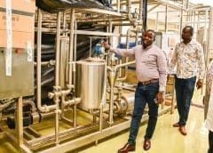 Thumbnail for Kenyan goat meat sector faces crisis as costs soar