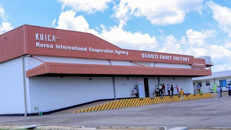 Thumbnail for Uganda bets on Ethiopia’s former first lady to reverse fortunes of struggling Soroti fruit factory 