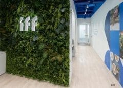 Thumbnail for IFF opens first dedicated food and beverage lab in South Korea 