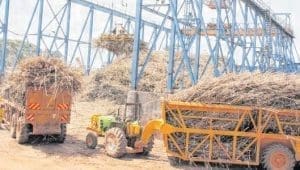 Investors to build US$11.3M sugar factory in Siaya as Kenya expands local sugar production