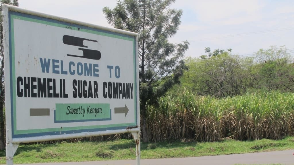 Thumbnail for Court bars Chemilil Sugar’s new MD from assuming office