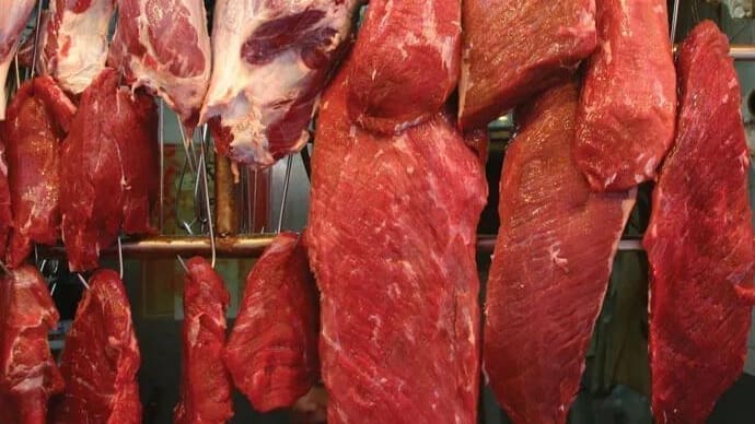 Thumbnail for South Africa beef producer Beefmaster Group increases expenditure on employee training by 230 percent