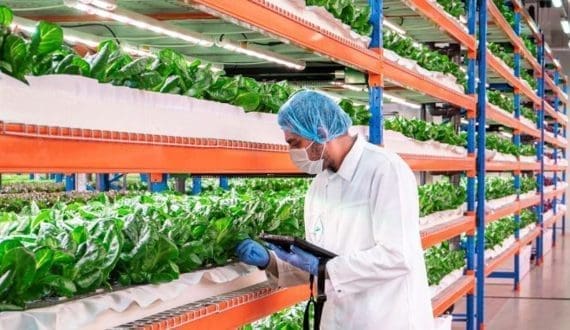 Thumbnail for Emirates completes full acquisition of world’s largest indoor vertical farm