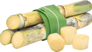 Egypt to strengthen position as Africa’s largest sugar producer by 2035