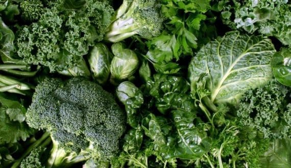 Thumbnail for Study reveals leafy greens’ role in multi-billion-dollar foodborne illness burden