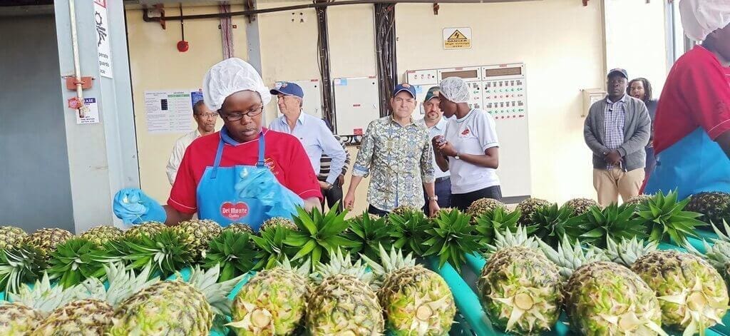 Thumbnail for Del Monte launches biofertiliser plant in Kenya
