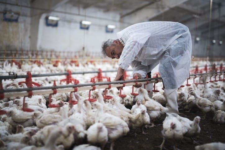 Thumbnail for U.S. House Agriculture Committee unveils 2024 Farm Bill, prioritizing pork producers’ Needs
