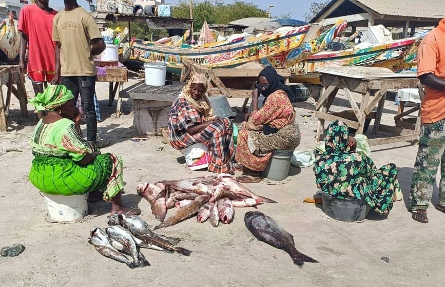 Thumbnail for Senegal reconsiders fishing agreement with EU amidst changing dynamics in African fisheries