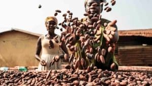COCOBOD settles US$204.4M DDEP bebt