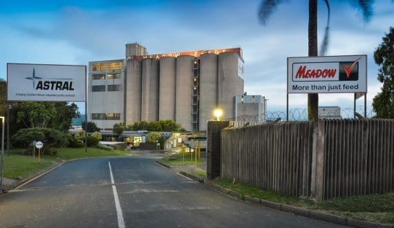 Thumbnail for Astral Foods sees strong financial recovery amid challenging conditions