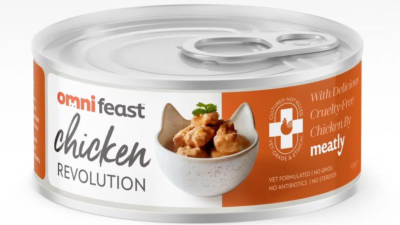 Thumbnail for UK’s Meatly unveils protein-free culture medium, aims to revolutionize cultivated meat production