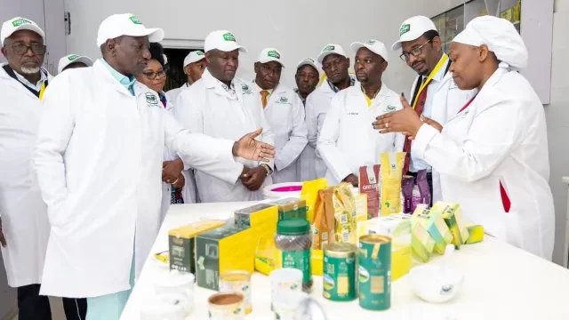 Thumbnail for Kenya allocates US$7.72M for tea value addition centers 