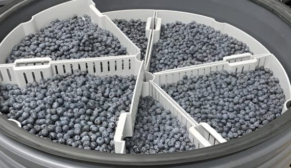 Thumbnail for Agrovision partners with RipeLocker to extend berry freshness