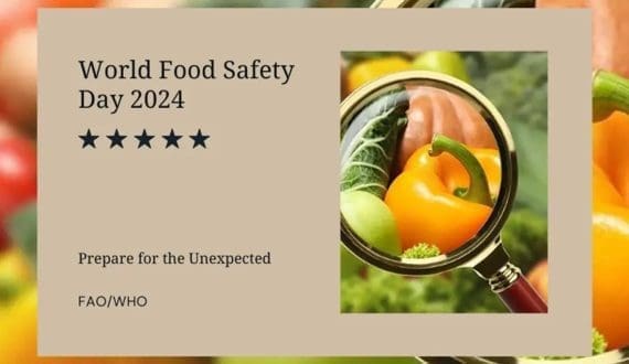 Thumbnail for African nations commemorate 2024 World Food Safety Day with diverse activities