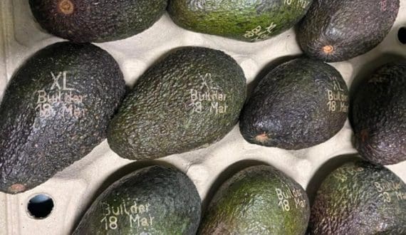 Thumbnail for Westfalia introduces Laser-Etched Avocados to reduce plastic waste