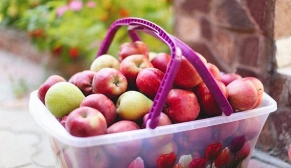 Thumbnail for Foodcareplus partners Intercontplus to improve India’s fresh produce supply chain