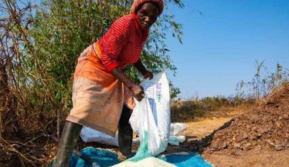 Thumbnail for Ghana’s key agricultural policy threatened by high input costs