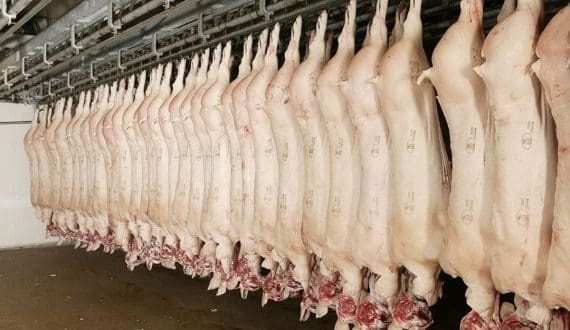Thumbnail for Philippines overtakes China as top destination for Brazilian pork exports in 2024