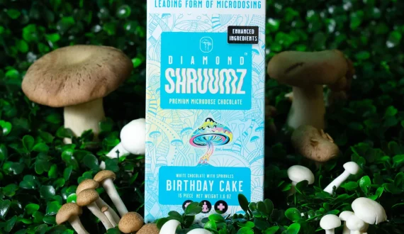 Thumbnail for FDA investigating death, hospitalizations linked to mushroom-infused chocolates