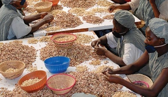 Thumbnail for Tanzania maintains policy rate at 6% to support economic growth