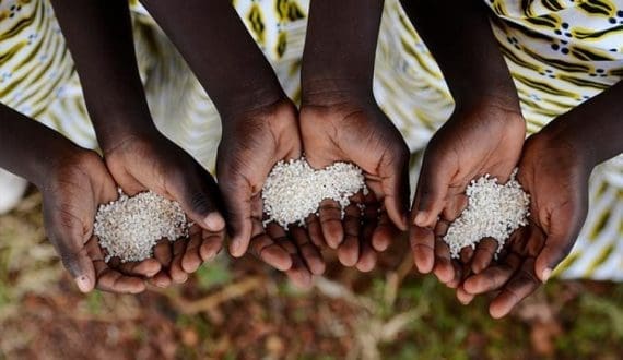 Thumbnail for IFAD, Zenkyoren partner in US$50M nutrition bond to enhance nutrition, food security
