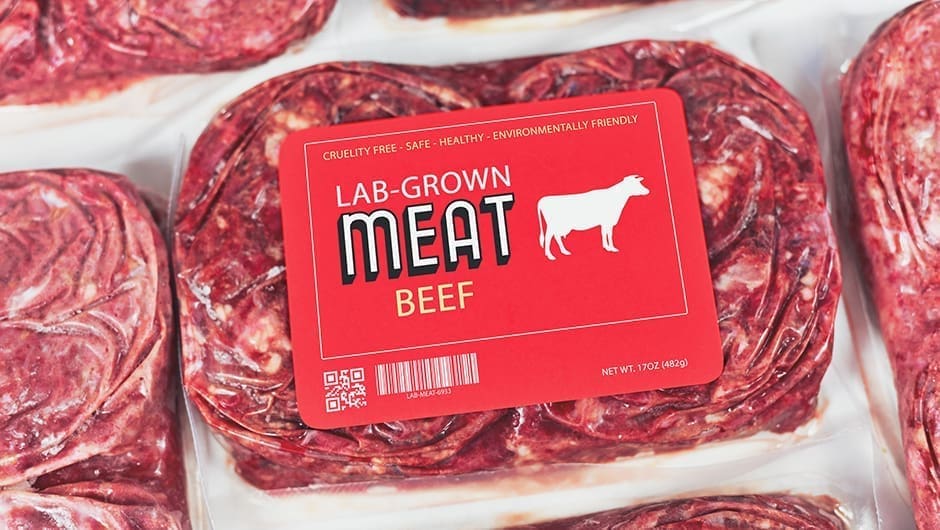 Thumbnail for UK farmers have mixed reactions on cultivated meat potential, report shows