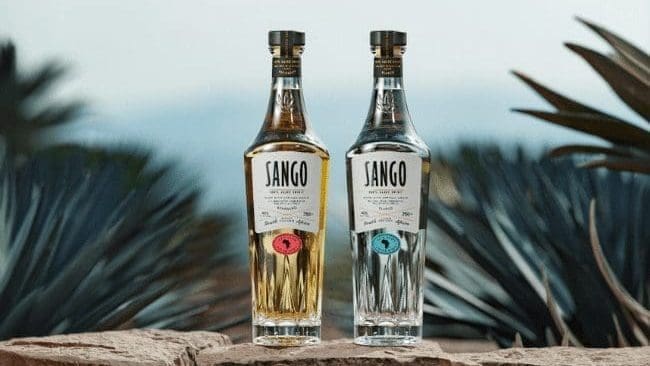 Thumbnail for Spearhead Spirits launches Sango African Agave in South Africa 