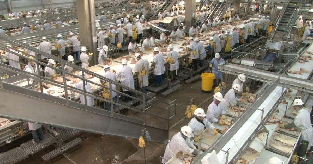 Thumbnail for Tyson Foods adjusts antibiotic use policy amid market demand