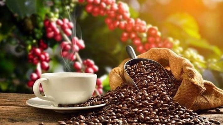 Thumbnail for Uganda achieves record coffee export earnings in June 2024  