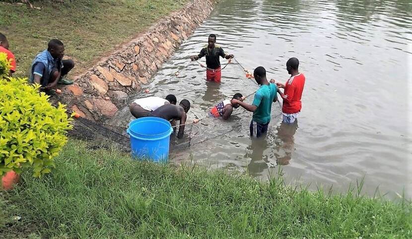 Thumbnail for EU injects US$16.2M to boost Tanzanian aquaculture