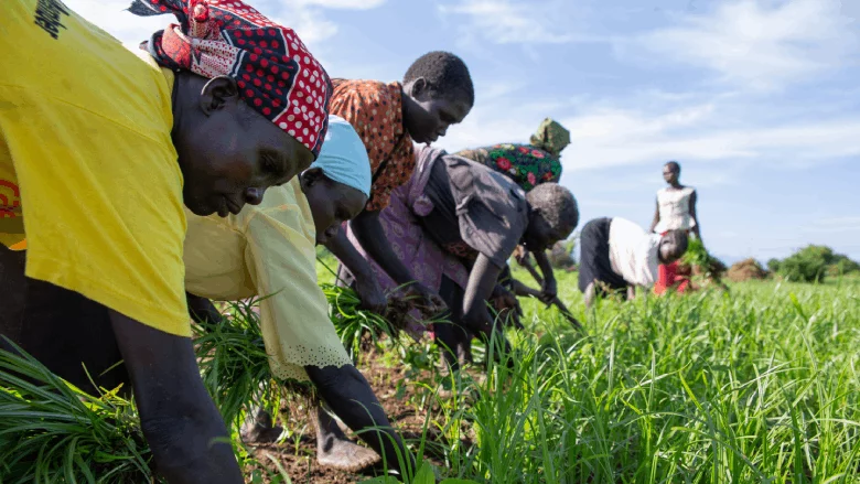 Thumbnail for South Sudan secures US$46.2M grant from AfDB to enhance agriculture production