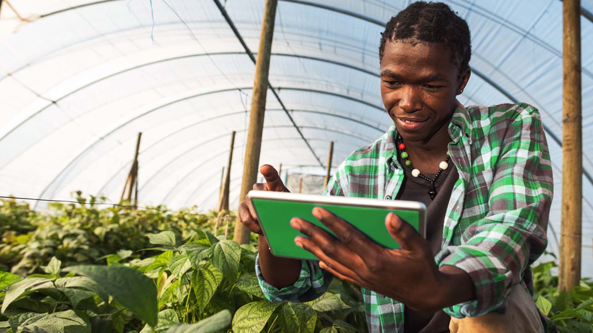 Thumbnail for Nedbank to provide US$25M credit line for Zimbabwean farmers, exporters
