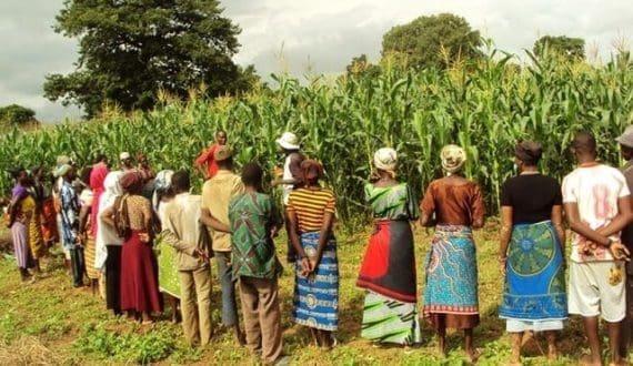 Thumbnail for Absa Bank, Mastercard Foundation invest US$70.7M in 5,700 SMEs